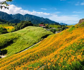［花蓮］清水斷崖奇景、瑞穗秘境旅宿、六十石山金針花毯二日