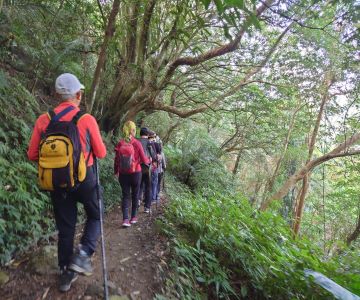 ［新竹］泰雅秘境馬胎古道、內灣老街一日