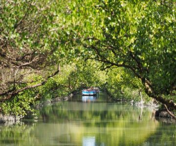 ［台南］新化森呼吸、台灣亞馬遜河、安平老街二日